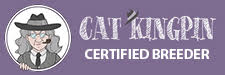 Cat King Pin Banner